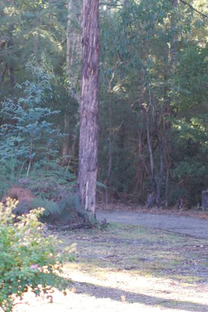 Our Experiences at the Gawler Retreat