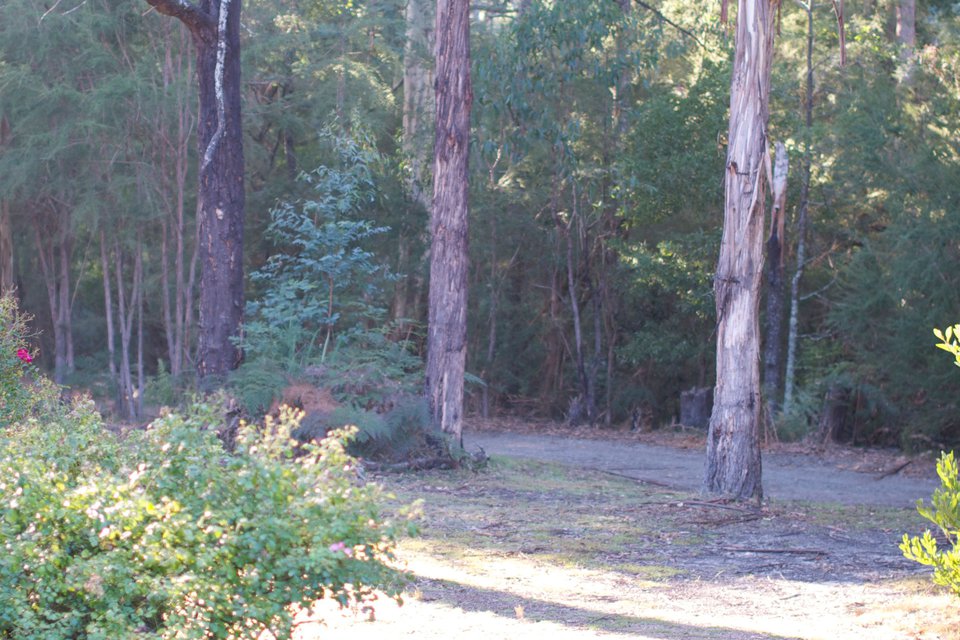 Our Experiences at the Gawler Retreat