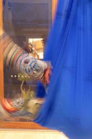 How do I live, teach and practice my yoga?