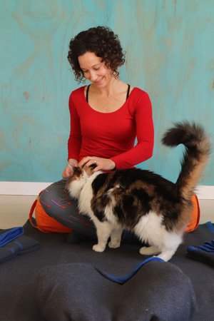 Restorative Yoga Workshop