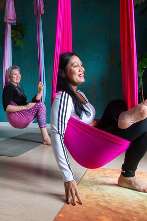 Winter Aerial Yin Workshop